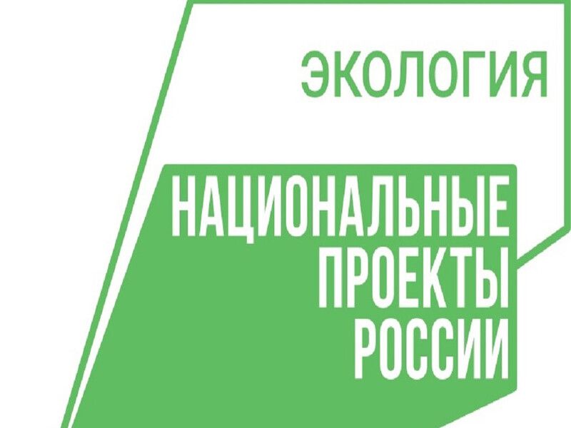 В крае продолжается приём заявок от муниципалитетов на обустройство площадок для ТКО.