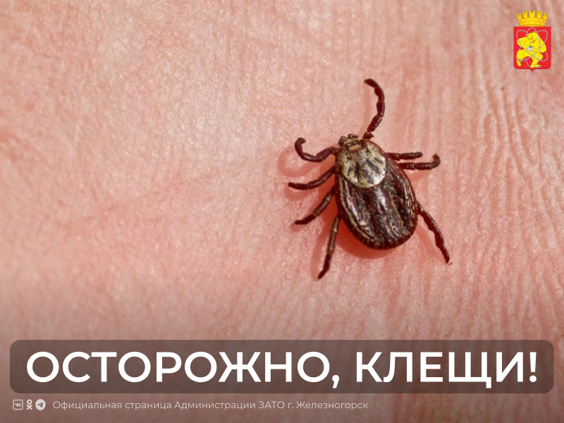 Осторожно, клещи!.