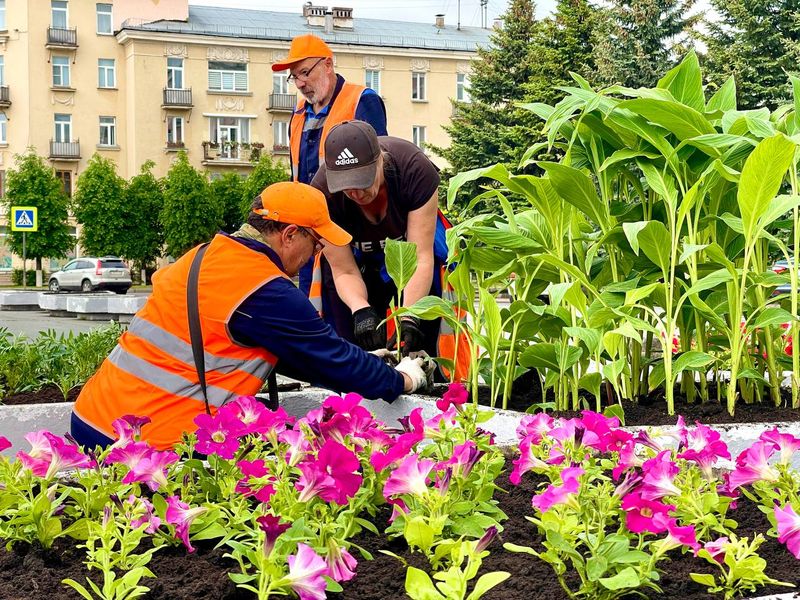 Специалисты ООО «КБУ» приступили к масштабной летней высадке цветов.