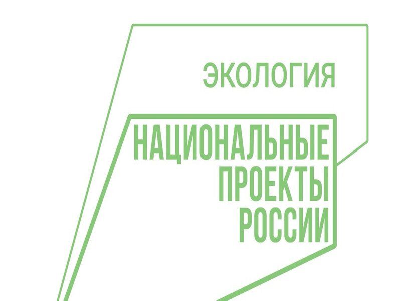 В 2024 году в крае планируется очистить от мусора более 800 км береговых линий.