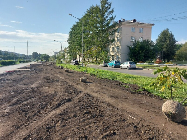 74 дерева и 607 кустарников высадят на аллее Андреева. 74 дерева и 607 кустарников высадят на аллее Андреева.